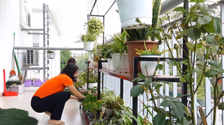 Tạo không gian trường lớp xanh, thân thiện với môi trường là nhiệm vụ thường xuyên.