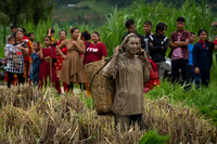 Chùm ảnh hàng nghìn nông dân Nepal mừng Ngày lúa quốc gia