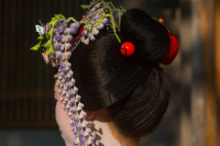 Chùm ảnh cuộc sống hiện đại của các nàng Geisha Nhật Bản 