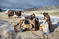 Chùm ảnh cuộc sống du mục độc đáo của người Kazakhstan