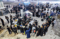 Chùm ảnh biển người tham dự cuộc hành hương Arbaeen 