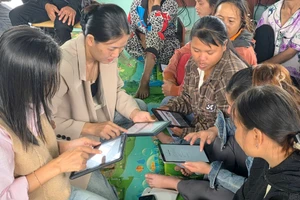 Không gian tri thức giữa đại ngàn