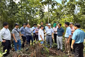 Ông Phạm Văn Nam – Giám đốc Sở GD&ĐT tỉnh Gia Lai cùng đoàn công tác khảo sát, lập phương án đầu tư xây dựng trường phổ thông nội trú liên cấp tại 7 xã biên giới.