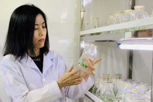 PGS.TSKH Nguyễn Thị Mộng Điệp dành nhiều năm nghiên cứu trong lĩnh vực khoa học y sinh.