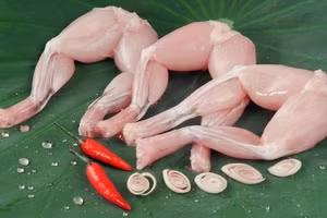 Ăn thịt cóc, 9 em nhỏ nhập viện