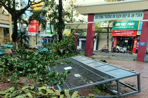 Bão Kalmaegi gây thiệt hại nặng nề cho ngành Giáo dục Gia Lai.