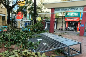 Bão Kalmaegi gây thiệt hại nặng nề cho ngành Giáo dục Gia Lai.