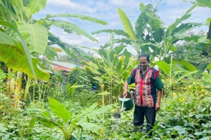 Già làng A Káo luôn gương mẫu, đi đầu trong tuyên truyền, hướng dẫn bà con thực hiện tốt chủ trương, chính sách, sống và làm việc theo pháp luật.