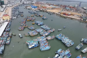 Quý I/2026, GRDP Gia Lai ước tăng 8,51% so với cùng kỳ, xếp thứ 16 cả nước.