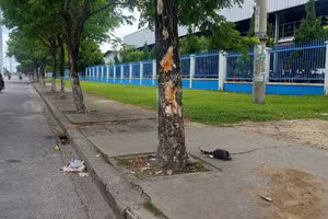 Hiện trường vụ tai nạn. Ảnh: Công an cung cấp