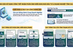 Cổng giao tiếp đầu tư tỉnh Gia Lai vận hành từ ngày 10/2.