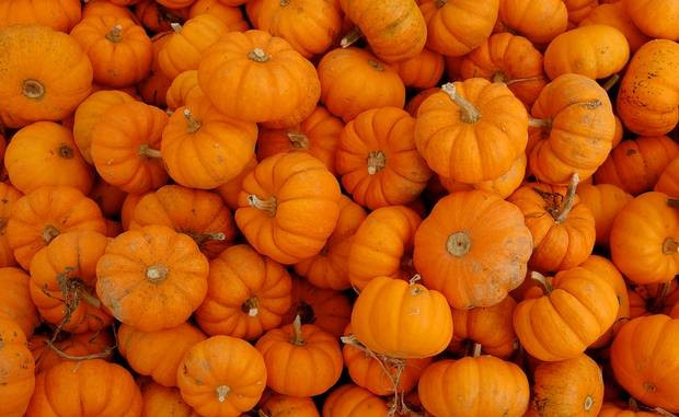 Bí ngô: Giàu canxi, sắt và đồng, giúp thúc đẩy khả năng miễn dịch. Ảnh: Independent Bí ngô: Giàu canxi, sắt và đồng, giúp thúc đẩy khả năng miễn dịch. Ảnh: Independent