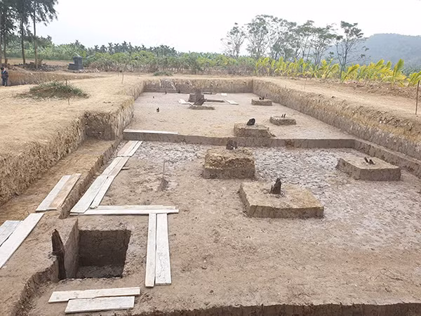 Bãi cọc được phát lộ