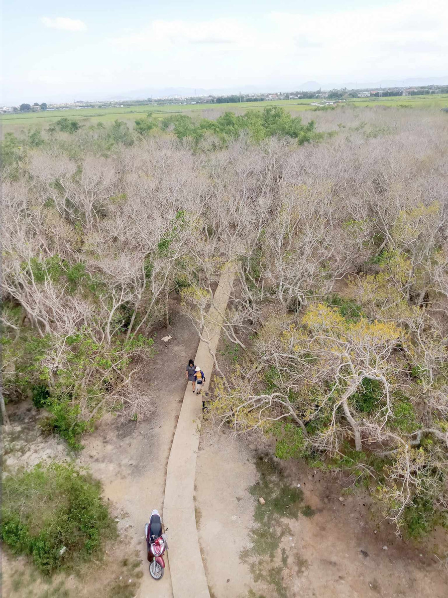Quan sát vẻ đẹp ma mị của Rú Chá từ trên cao. Quan sát vẻ đẹp ma mị của Rú Chá từ trên cao.