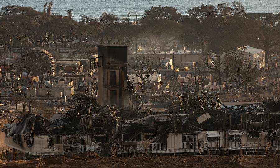 Cỏ xâm lấn là một trong nguyên nhân gây ra cháy rừng ở Hawaii, Mỹ. Cỏ xâm lấn là một trong nguyên nhân gây ra cháy rừng ở Hawaii, Mỹ.