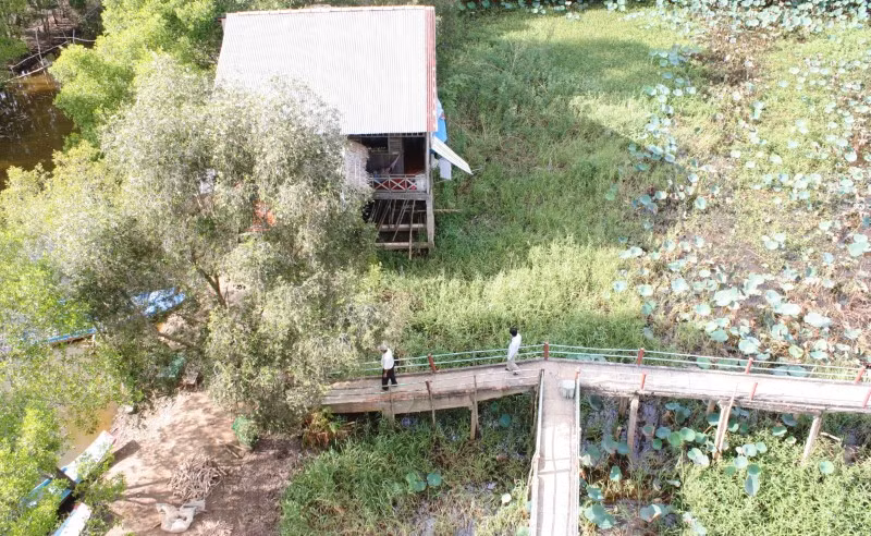 Gần hết tháng 8 âm lịch nhưng người dân đầu nguồn sông Cửu Long vẫn chưa thấy nước lên. Ảnh chụp tại Vườn quốc gia Tràm Chim (Đồng Tháp).