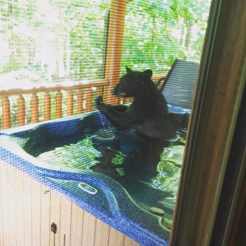 ...rồi ngồi xuống.