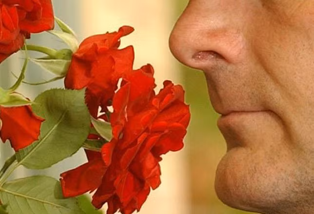 Nghiên cứu chứng minh: Người khứu giác kém có nguy cơ tử vong cao hơn 50%