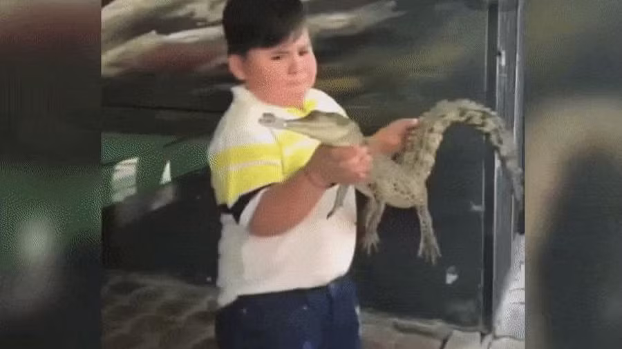 Cố tỏ ra mình ổn, nhưng sâu bên trong là “bão tố“