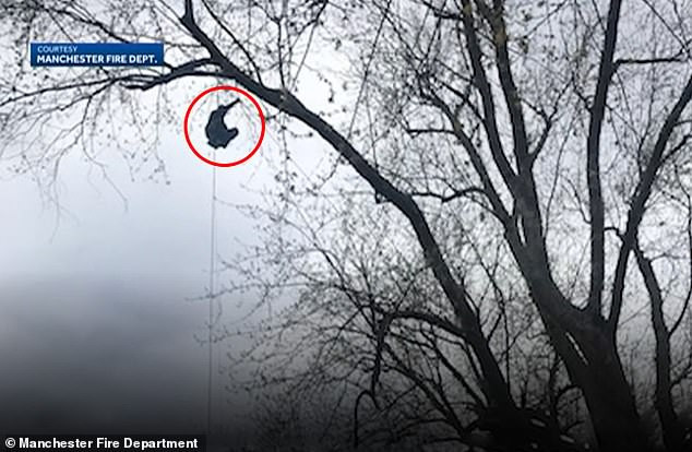 Người đàn ông đã học cách trèo lên cao thông qua video trên Youtube.