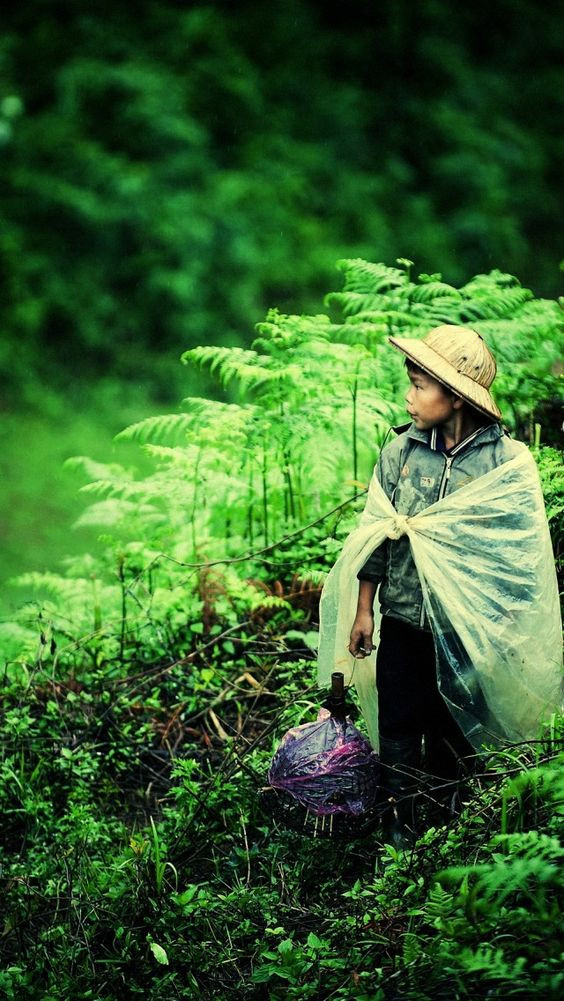 Sự nuông chiều của cha mẹ tạo nên những đứa con vô ơn (Ảnh minh họa).