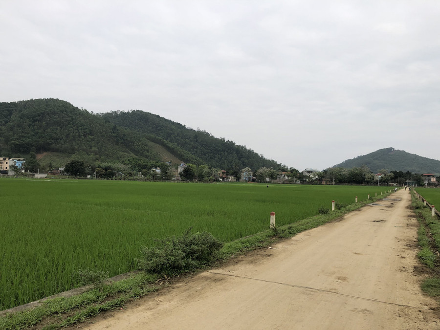 Dự án Khu đô thị Sudico Tiến Xuân sau hơn 15 năm vẫn là những cánh đồng mênh mông.