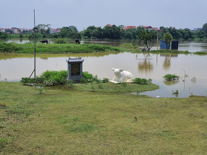 Tái hiện hình ảnh Ngưu tinh (trâu trắng).