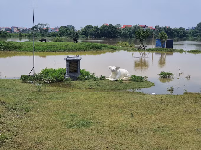 Tái hiện hình ảnh Ngưu tinh (trâu trắng).