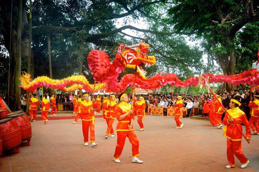 Màn múa rồng dưới tán cây đoàn kết.