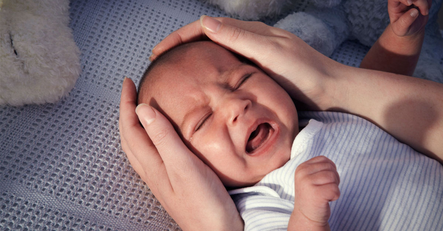 Trẻ sơ sinh gần như ngủ suốt cả ngày lẫn đêm, chỉ thức dậy khi đói. Trẻ sơ sinh gần như ngủ suốt cả ngày lẫn đêm, chỉ thức dậy khi đói.
