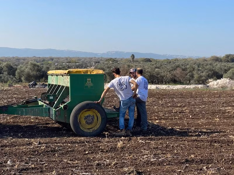 Máy gặt liên hợp của Huna sẽ giúp thu hoạch được cả hạt và thân lúa mì.