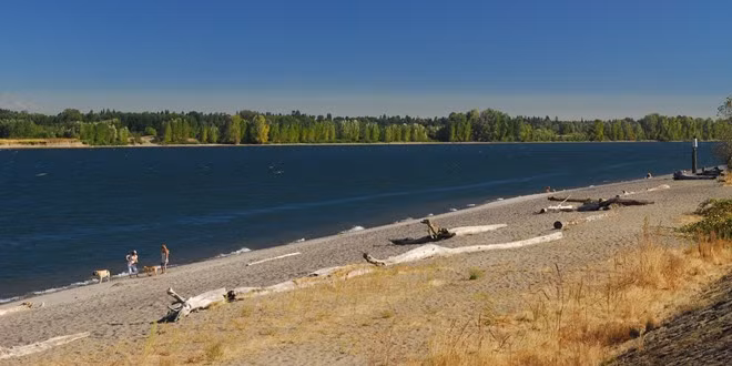 Bãi biển Collins, đảo Sauvie, Oregon: Bãi tắm nằm ở sông Columbia này cách Portland không xa. Đường ra đây khá gập gềnh, với khoảng 400 m cuối là đường đá sỏi. Tuy nhiên, bãi tắm không yêu cầu quần áo này khá thú vị, yên tĩnh và thư thái.