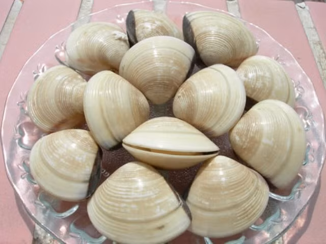 Cách nấu cháo ngao thơm ngon, bổ dưỡng cho cả nhà