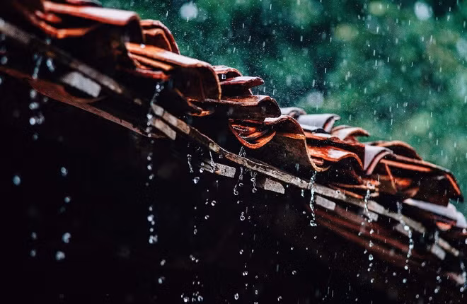 Ảnh minh họa/INT