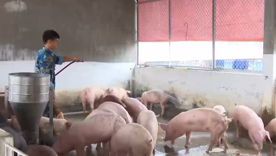 Ảnh minh họa: ITN Ảnh minh họa: ITN