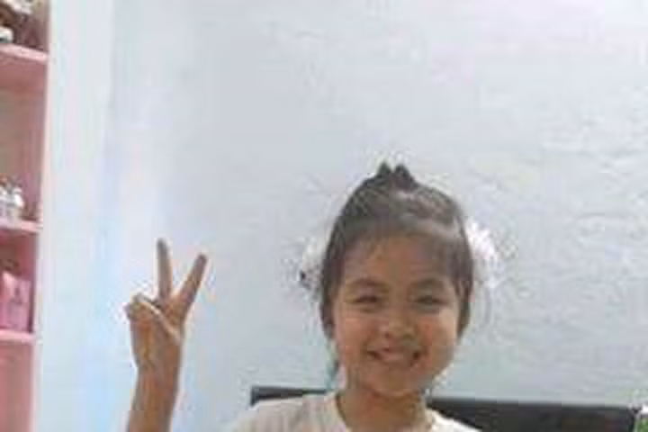 Bí ẩn vụ học sinh tiểu học mất tích tại Hải Phòng