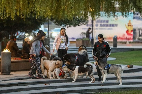 Minh họa/INT Minh họa/INT