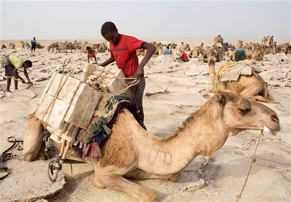 Sa mạc Danakil - nóng bỏng mà hấp dẫn ảnh 2