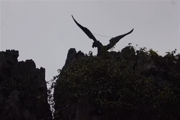 Tượng chim đại bàng – biểu tượng của tướng Dương Tự Minh.