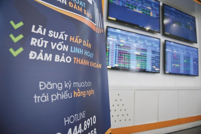 Ảnh minh họa. Ảnh minh họa.