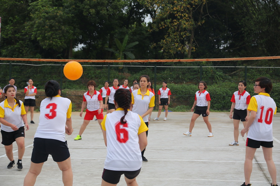 Trận đấu mở màn giải giữa hai đội: Đội Cơ quan ĐHTN gặp đội Khoa Ngoại ngữ