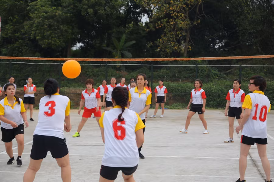 Trận đấu mở màn giải giữa hai đội: Đội Cơ quan ĐHTN gặp đội Khoa Ngoại ngữ