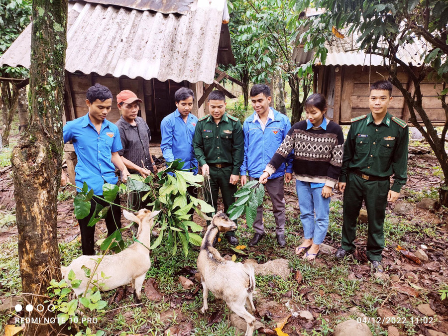 Mô hình "Dê giống khởi nghiệp" đang giúp bà con dân tộc vùng biên giới xóa đói giảm nghèo. Mô hình "Dê giống khởi nghiệp" đang giúp bà con dân tộc vùng biên giới xóa đói giảm nghèo.