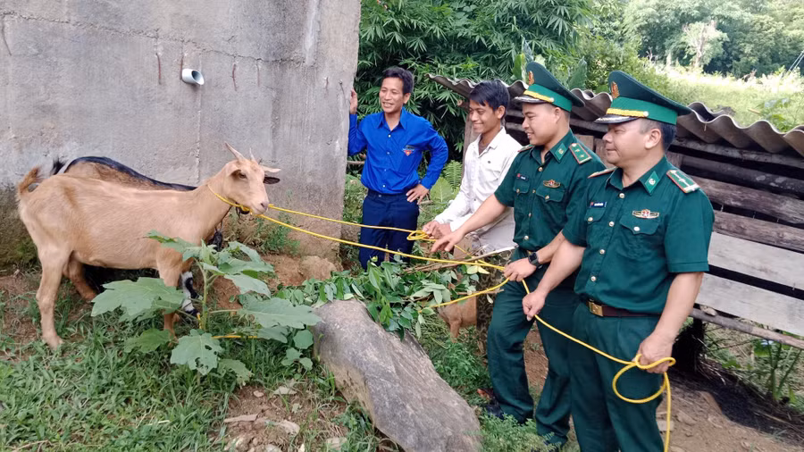 Trao dê giống cho bà con dân tộc chăm sóc, nhân giống. 