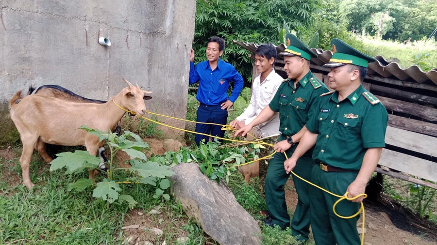 Trao dê giống cho bà con dân tộc chăm sóc, nhân giống. 