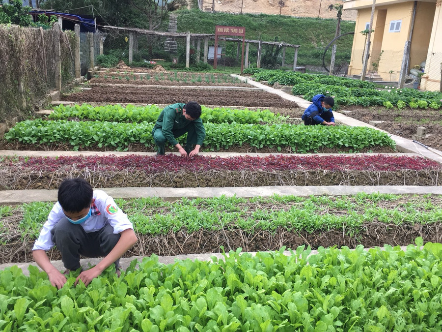 Giáo dục kỹ năng sống trong quá trình nhận nuôi trẻ tại đơn vị Giáo dục kỹ năng sống trong quá trình nhận nuôi trẻ tại đơn vị