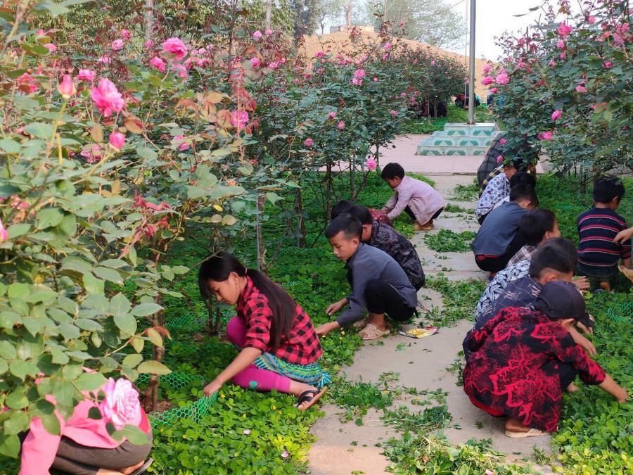 Chăm sóc hoa cây giúp học sinh có thêm kiến thức, kỹ năng trồng trọt thực tế. Chăm sóc hoa cây giúp học sinh có thêm kiến thức, kỹ năng trồng trọt thực tế.