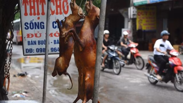 Ảnh minh họa/INT.