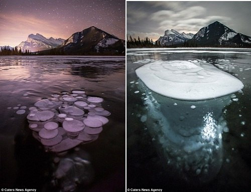 Hiện tượng lạ: Đàn “sứa” băng ở Canada ảnh 3
