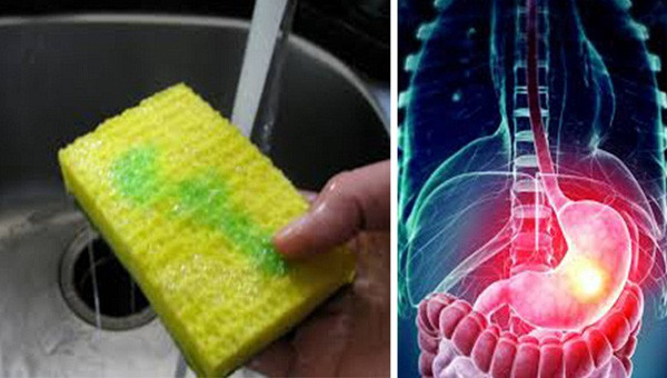 Điều bạn cần làm để tránh nhiễm bệnh từ giẻ rửa bát ảnh 1 Điều bạn cần làm để tránh nhiễm bệnh từ giẻ rửa bát ảnh 1